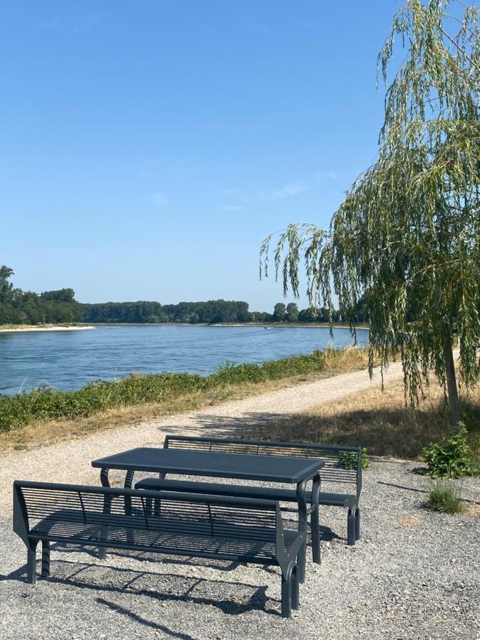Ferienhaus Hoffmann Am Rheinbogen Altlussheim Dış mekan fotoğraf